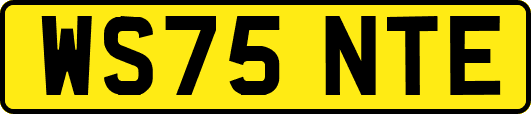 WS75NTE