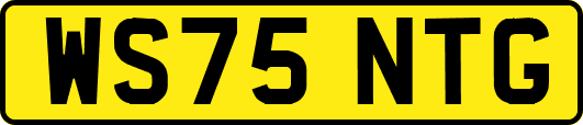 WS75NTG