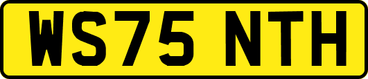 WS75NTH