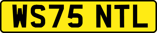 WS75NTL