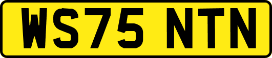 WS75NTN