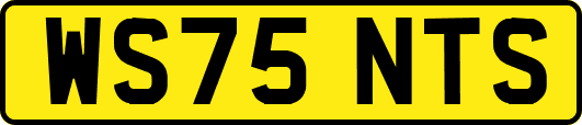 WS75NTS