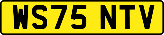 WS75NTV