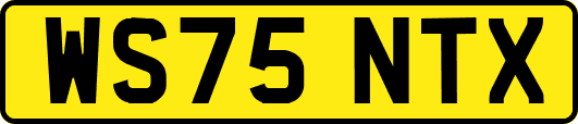 WS75NTX
