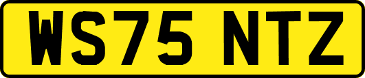WS75NTZ