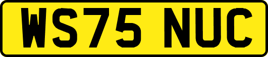 WS75NUC
