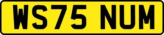 WS75NUM