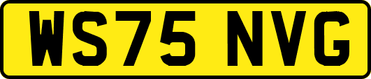 WS75NVG