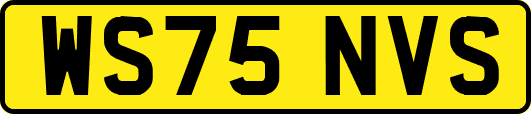 WS75NVS