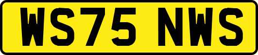 WS75NWS