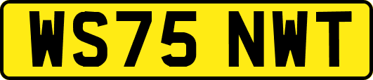 WS75NWT