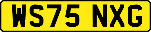 WS75NXG