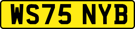 WS75NYB