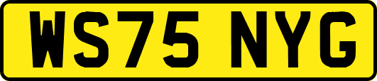 WS75NYG