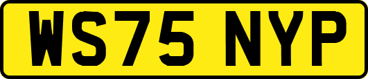 WS75NYP