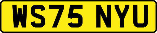 WS75NYU