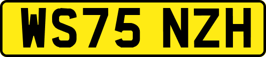 WS75NZH