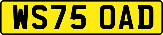 WS75OAD