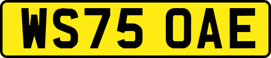 WS75OAE