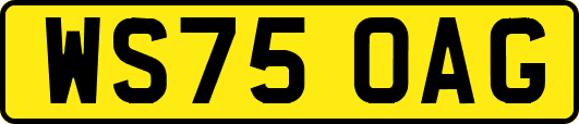 WS75OAG