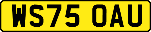 WS75OAU