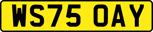 WS75OAY