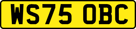 WS75OBC