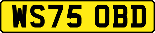 WS75OBD