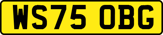 WS75OBG