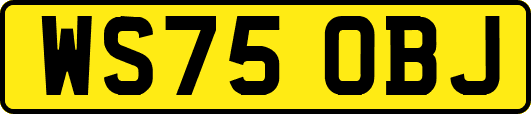 WS75OBJ