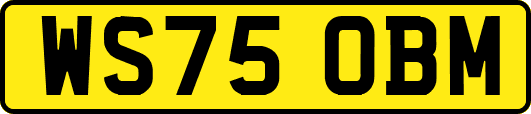 WS75OBM