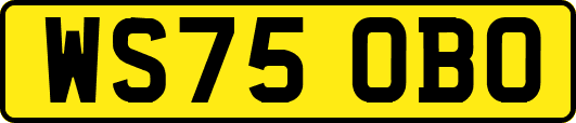 WS75OBO