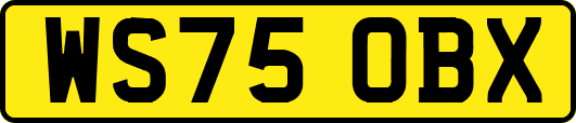 WS75OBX