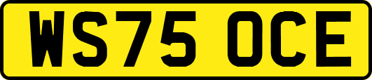 WS75OCE