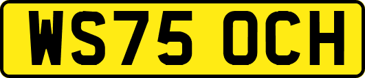 WS75OCH