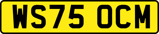 WS75OCM