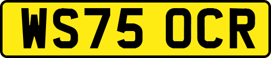 WS75OCR