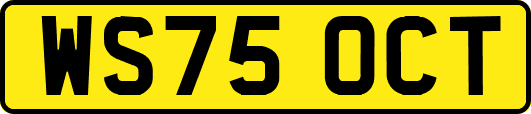 WS75OCT