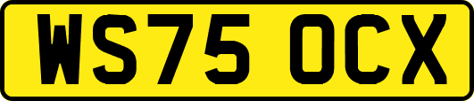 WS75OCX