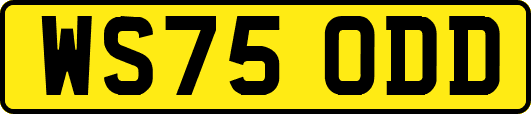 WS75ODD