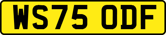 WS75ODF