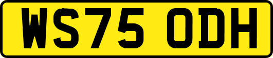 WS75ODH