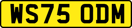 WS75ODM