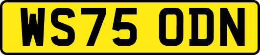 WS75ODN