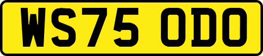 WS75ODO