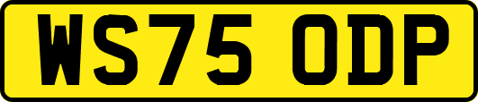 WS75ODP