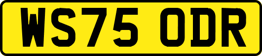 WS75ODR