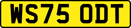 WS75ODT