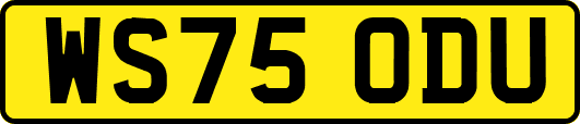 WS75ODU