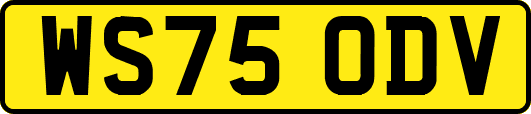 WS75ODV